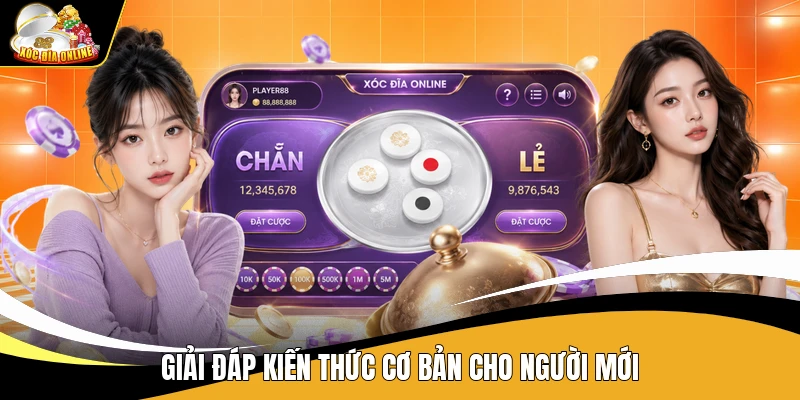 Giải đáp kiến thức cơ bản cho người mới